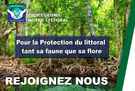 Protection du littoral terrestre — Archive PNL