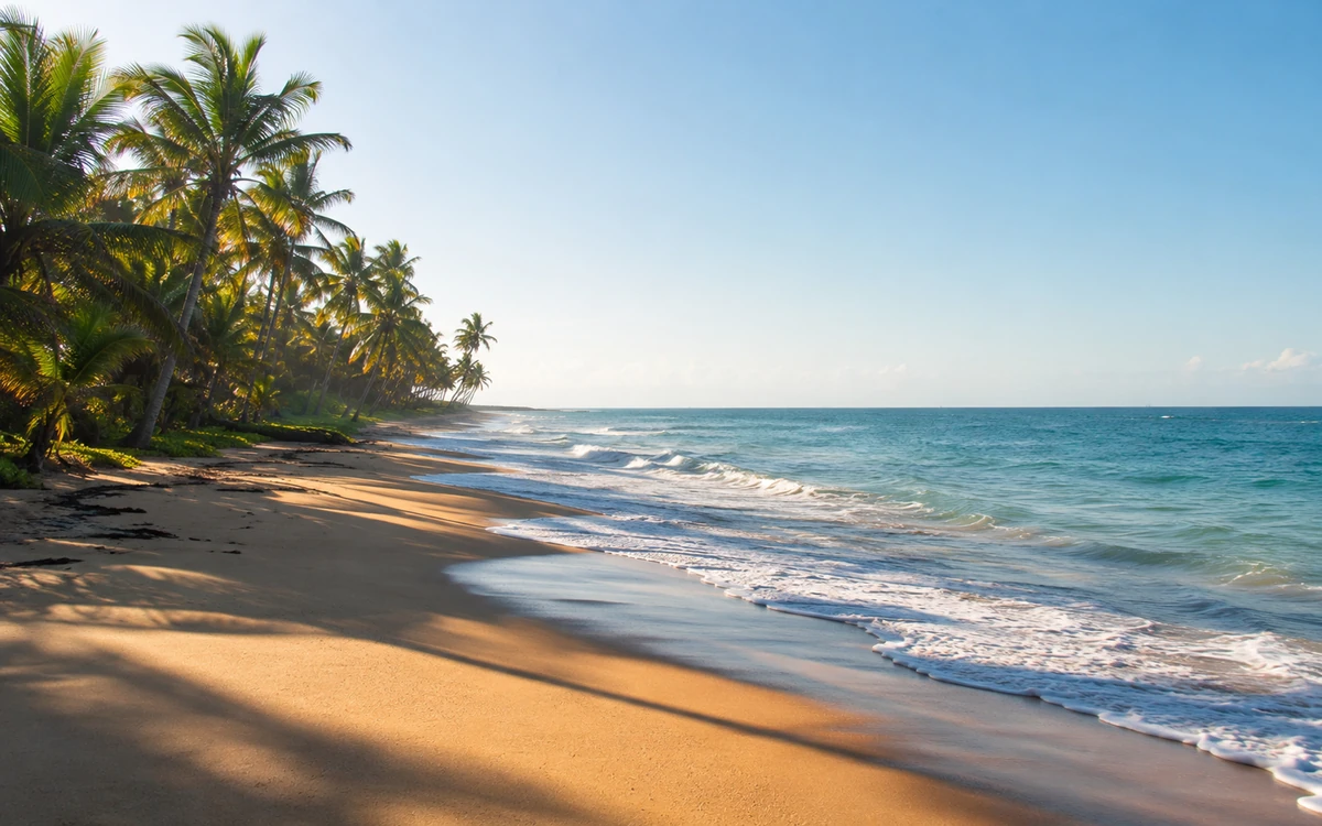 Paysage littoral ouest-africain entre plage, mer et végétation côtière — ONG Protégeons notre Littoral